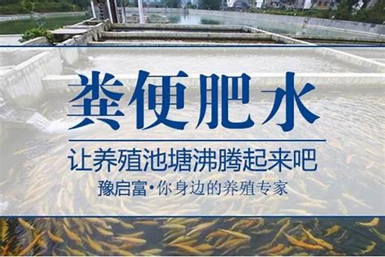 鱼蛋白水溶肥制作方法