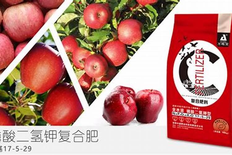 苹果着色的决定性因素有哪些？用钾肥好还是磷肥好呢？