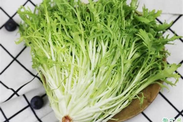 为什么氮肥(除尿素)不能和熟石灰混合