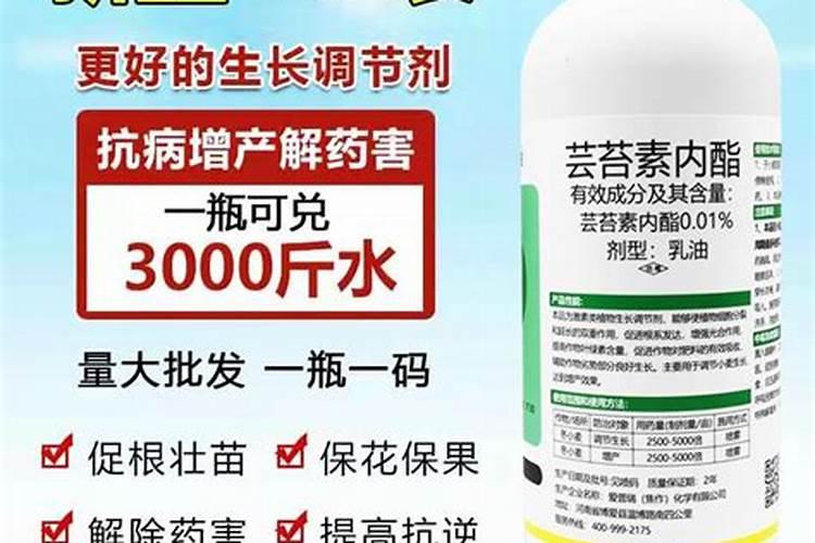 芸苔素对植物生长有什么作用？