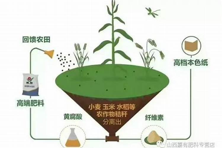 腐植酸水溶肥是什么,为什么那么火？它有啥作用呢？