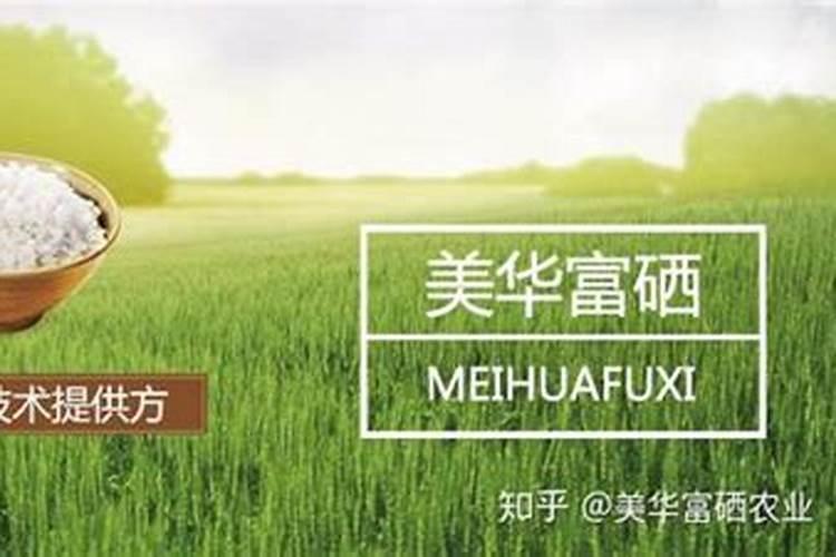 怎样种出富硒蔬菜呢