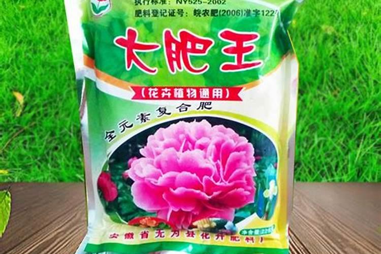 花肥一般用什么肥料花土 养花肥料大全