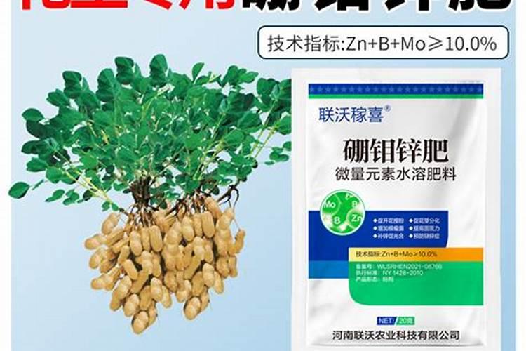 适当的用微肥有利于花生生长,花生可以施用什么微肥？