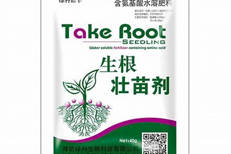 大棚茄子土壤多效唑药害如何解救