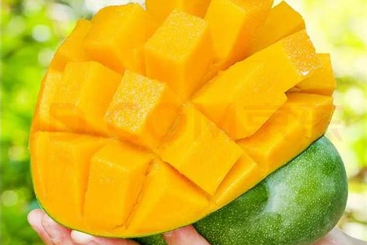 芒果用什么肥料能快速成长？施肥几次？