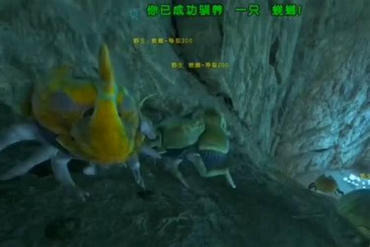 方舟生存进化化肥怎么弄
