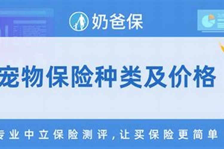 红掌上什么肥料效果好？
