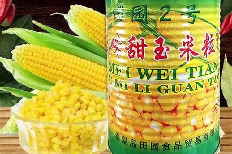 玉米怎么施肥能高产,玉米的高产施肥技术