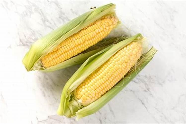 糯玉米种植技术技巧 玉米生长需要注意什么