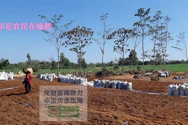 海国际农用化学品及植保展览会CAC