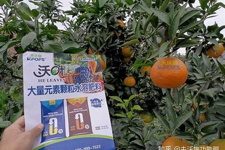 桃树如何施肥可以增产收益？