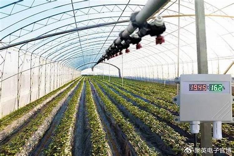 水溶肥滴完后冲多长时间的清水