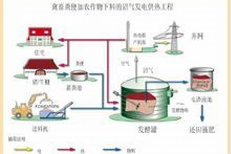 沼气的原料如:牛粪·猪粪·鸡粪·羊粪等,哪种更好？