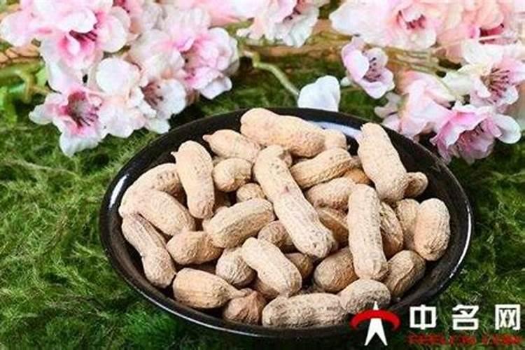 沤肥做菜当盆栽