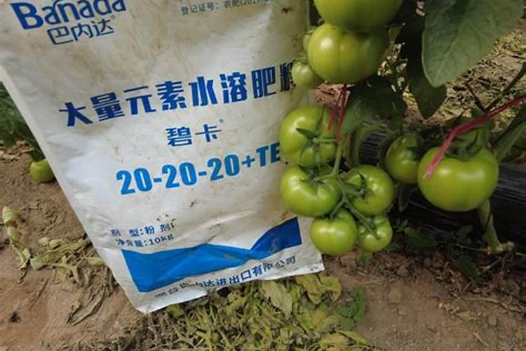 大量元素水溶肥哪个牌子效果好,怎么选择？