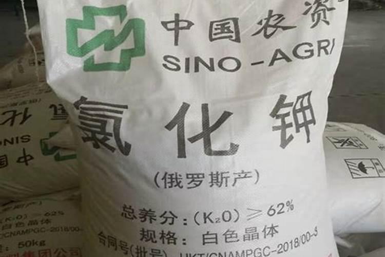 这是名副其实的“耐阴王,”,采光不好又喜欢养花,请趁早安排上百度知 ...