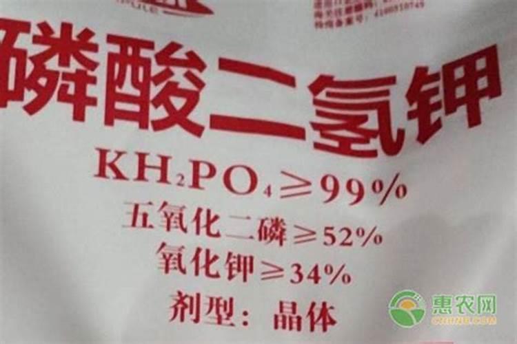 磷酸二氢钾可以浇多肉吗