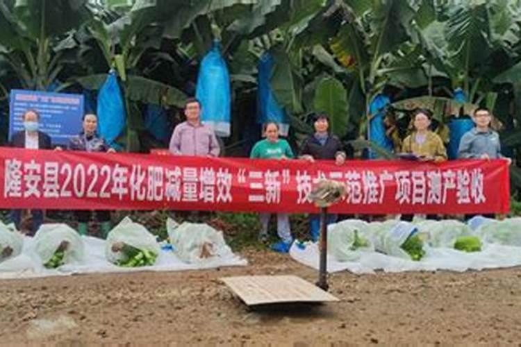 浅谈如何提高化肥利用率