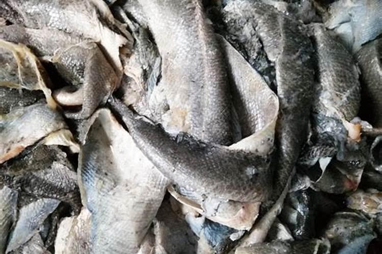 饼肥怎样正确使用？
