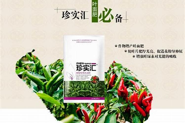 丝瓜生长需要什么物质？如何使它快速生长？