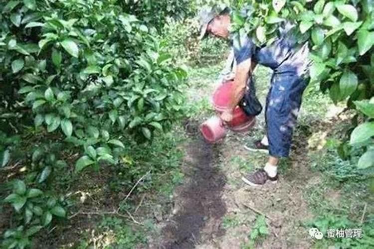氮肥供应过多会导致植物
