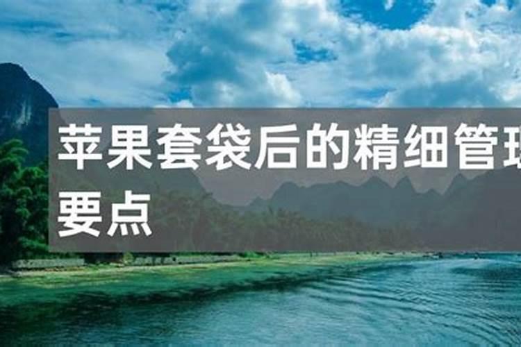 苹果树套完袋后什么时候喂肥