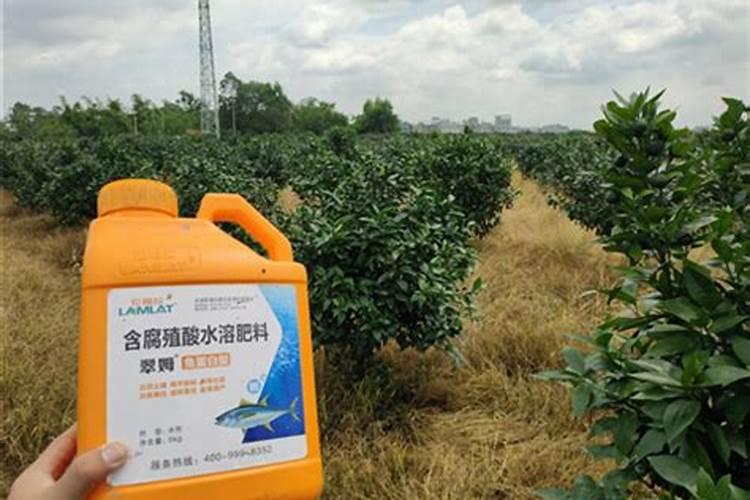 西瓜膨果用什么肥料好？
