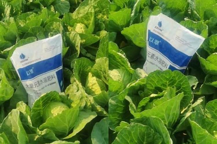 微量元素水溶肥多久用一次 微量元素水溶肥料的适用作物和使用方法