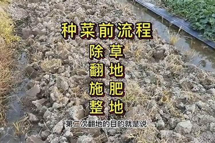 种菜前如何翻地整地