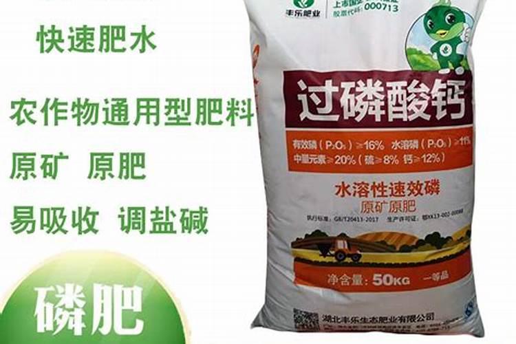 种白菜用什么底肥最好