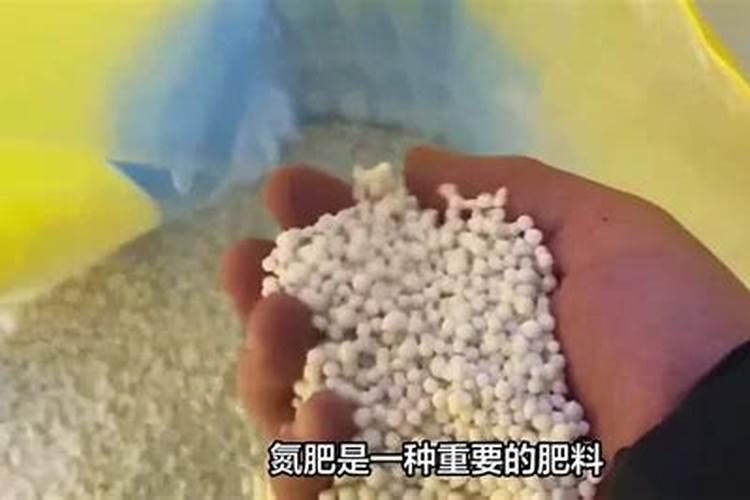 人尿与人类粪便相比,哪一个的肥力更强？