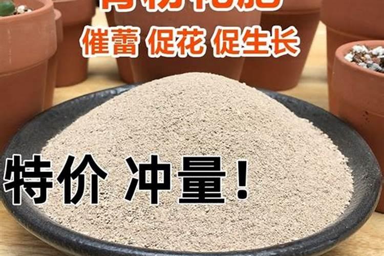 骨粉兑水浇花还是埋在土里好(怎么操作制作骨粉给花浇肥)