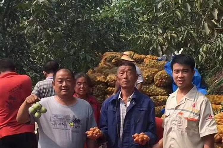 水溶肥哪个品牌最好