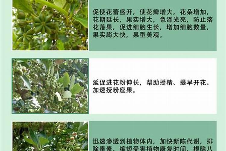 膨果肥用什么肥最好