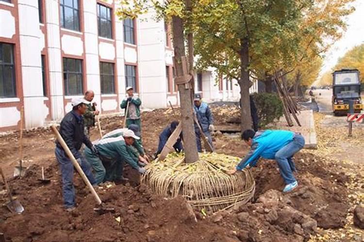 夏季大棚种植管理,合理浇水的4个要点是什么？