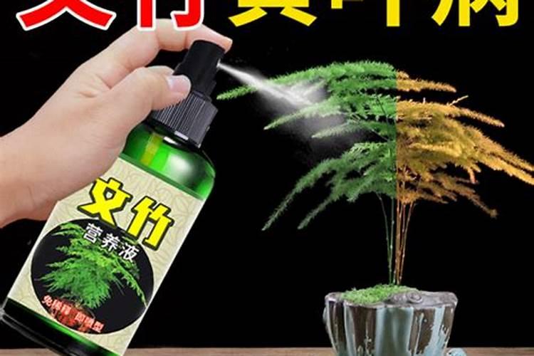 山茶油种植相关问题请教高手!