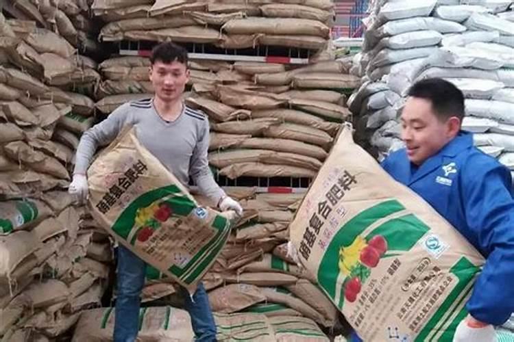 中国十大最好水溶肥