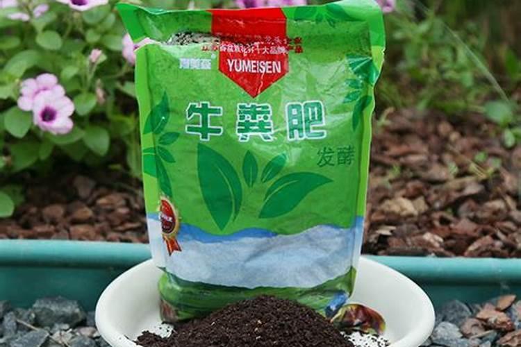 花肥一般用什么肥料