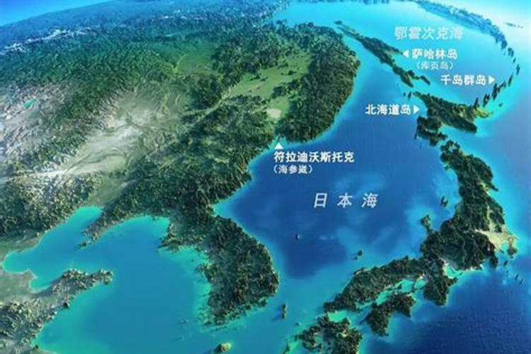 腐植酸是什么东西,腐植酸的作用