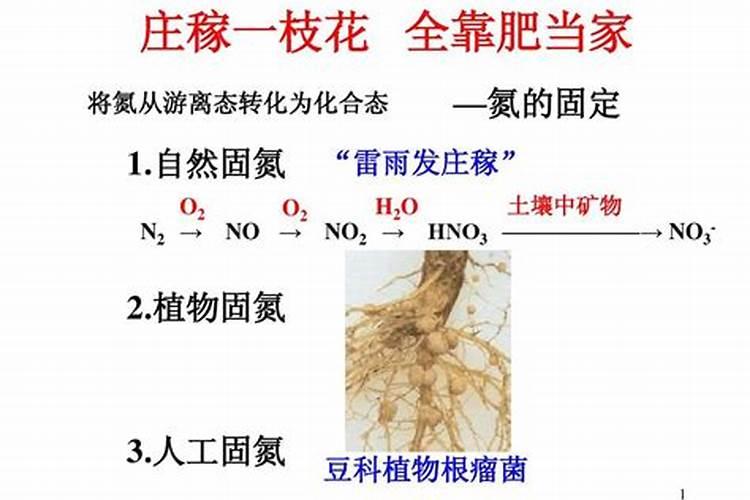 什么叫复合肥？常见的复合肥有哪些？