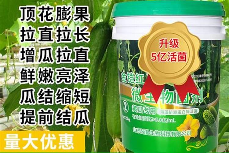 盐碱地用什么肥料好？