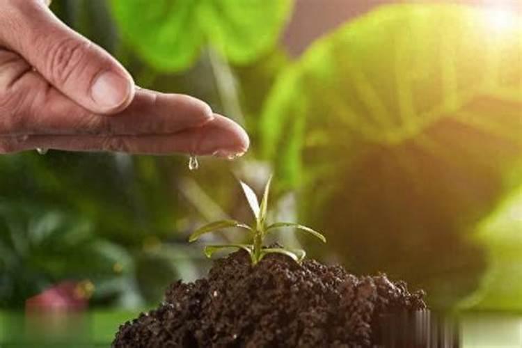 秸秆禁烧七字口诀