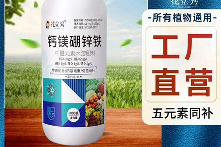 白菜多大时候喷钙镁硼肥好？