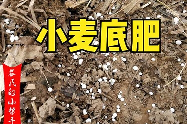 复合肥能不能提前撒地里