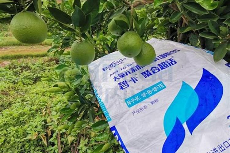 种下去两年的脐橙树,一年可以施肥几次？？？