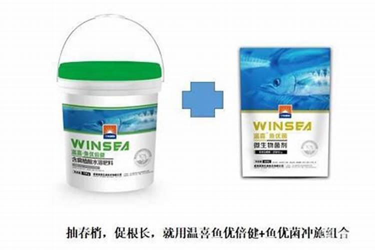 柑橘树上可以冲施矿源和鱼蛋白吗？