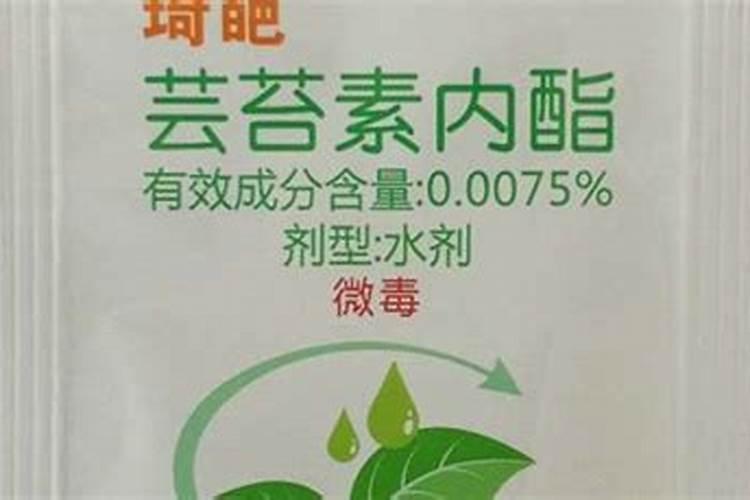 芸苔素内酯玉米可喷几次 几叶时可以使用