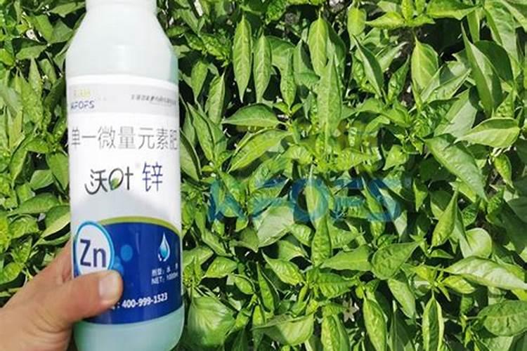 叶面喷施锌肥作用