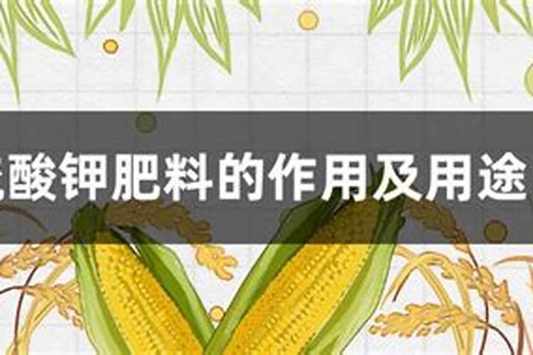 硫酸钾肥料的作用